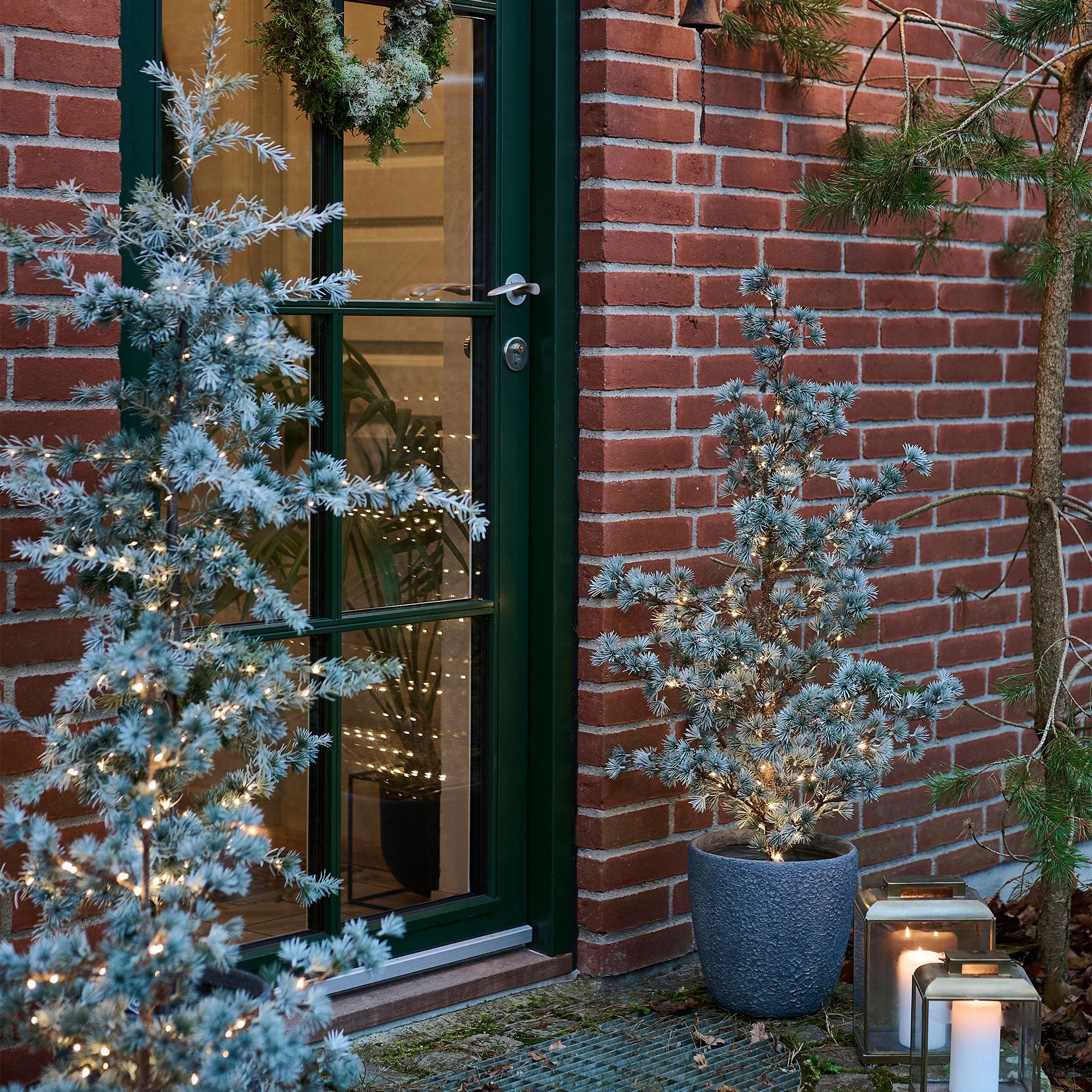 Festive Zedernbaum mit LED